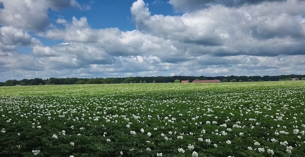 Nature du fond