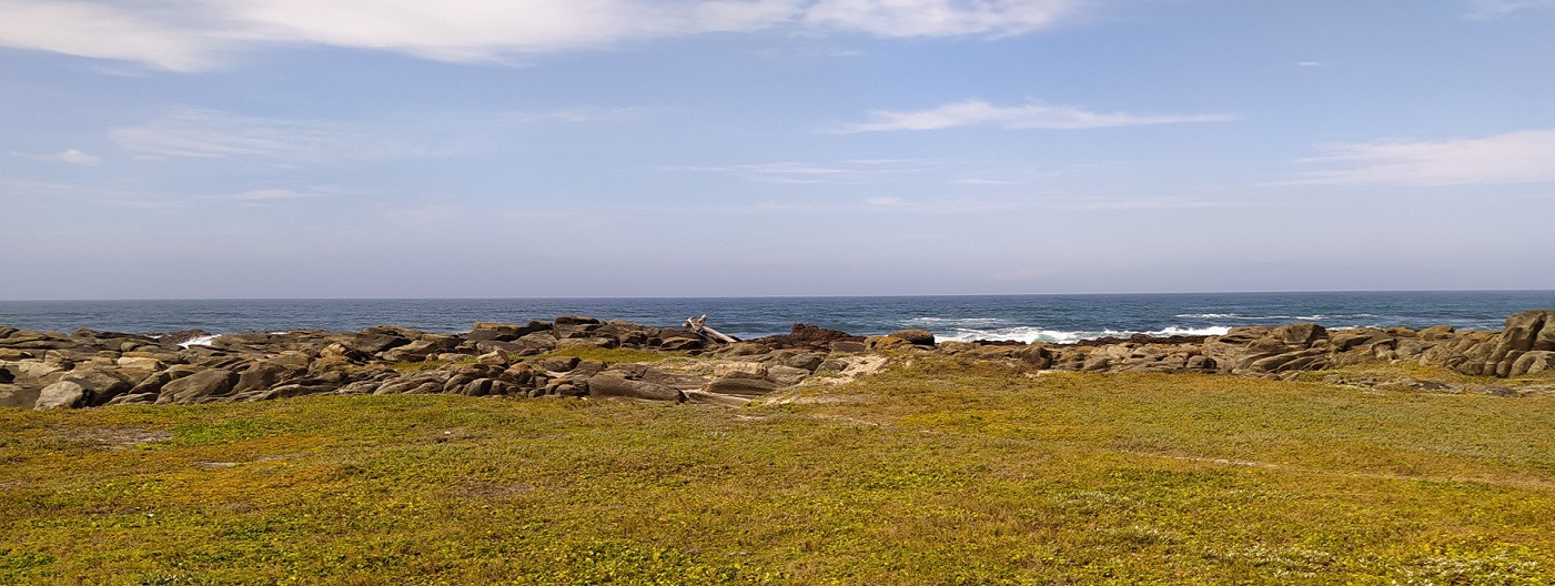 Plage de Seaview